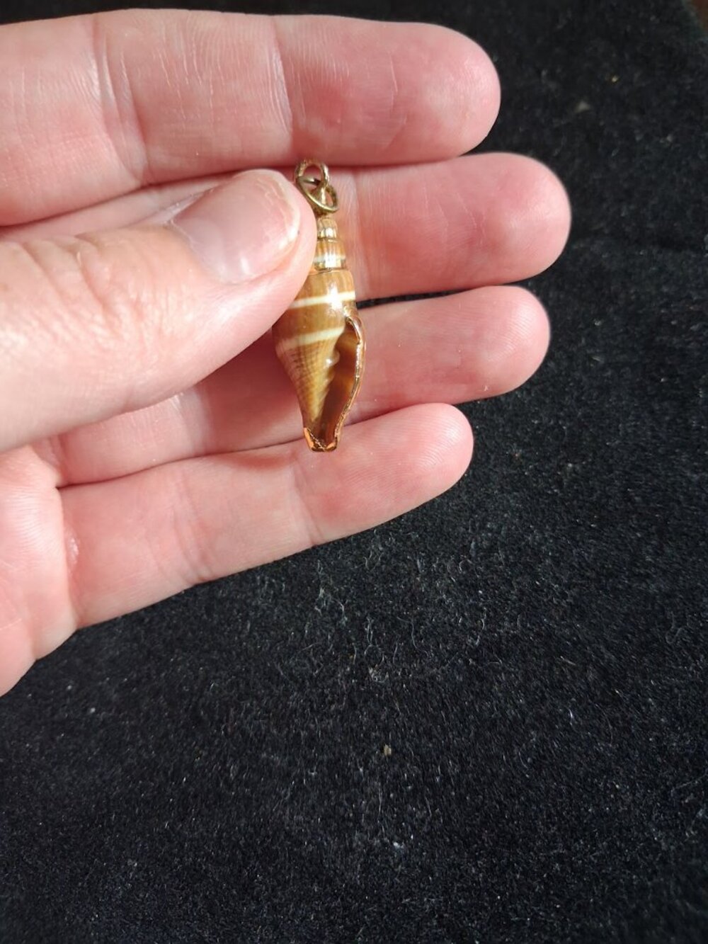Shell pendant